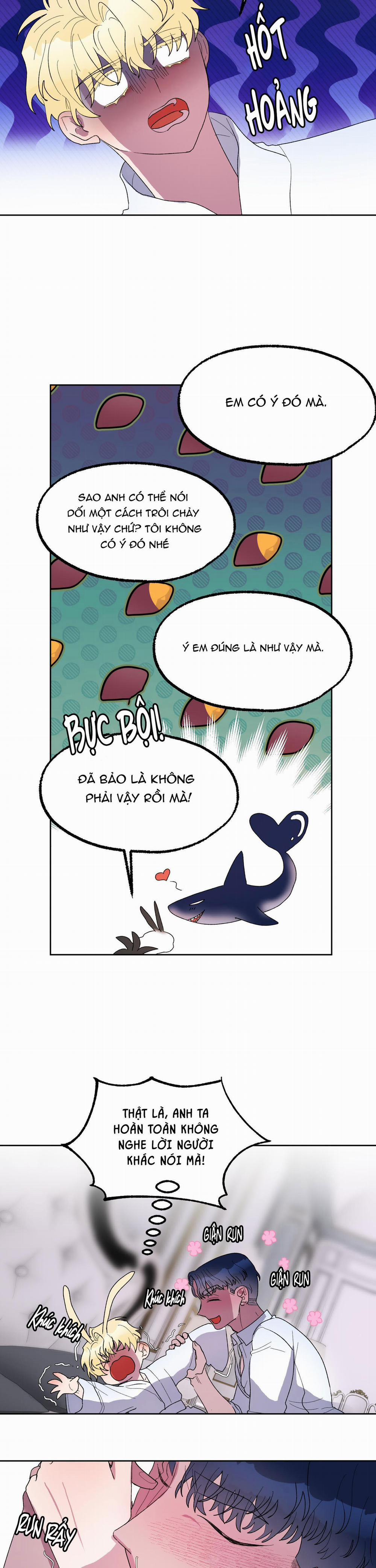 CÁ MẬP VÀ CÔ DÂU THỎ 18 trang 11