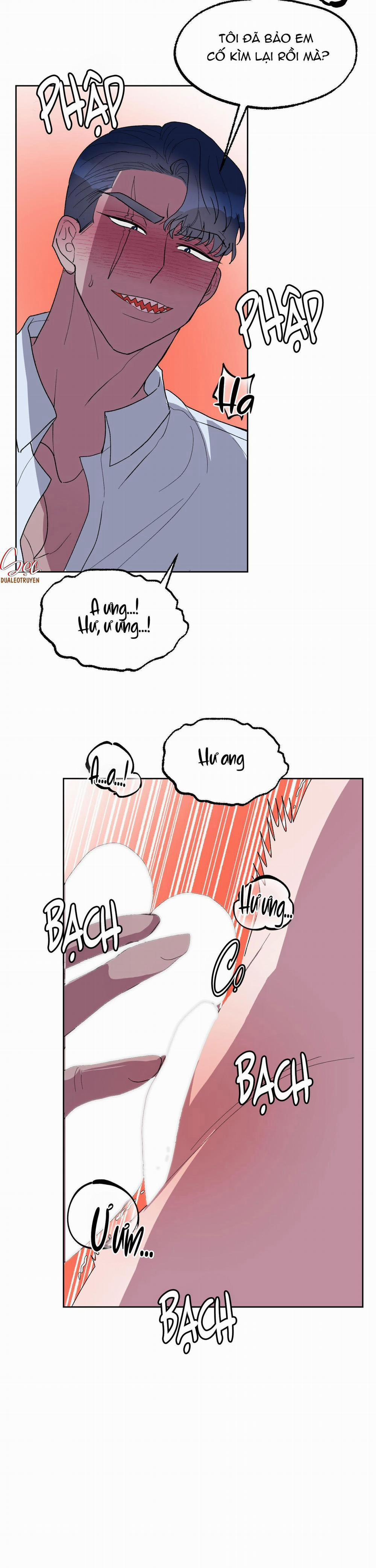 CÁ MẬP VÀ CÔ DÂU THỎ 19 trang 9