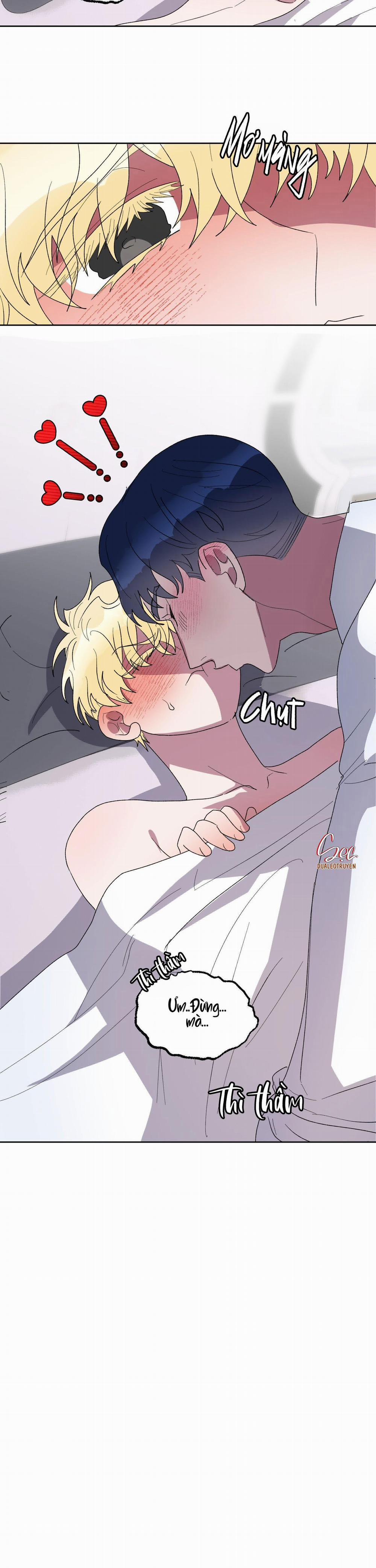 CÁ MẬP VÀ CÔ DÂU THỎ 19 trang 19