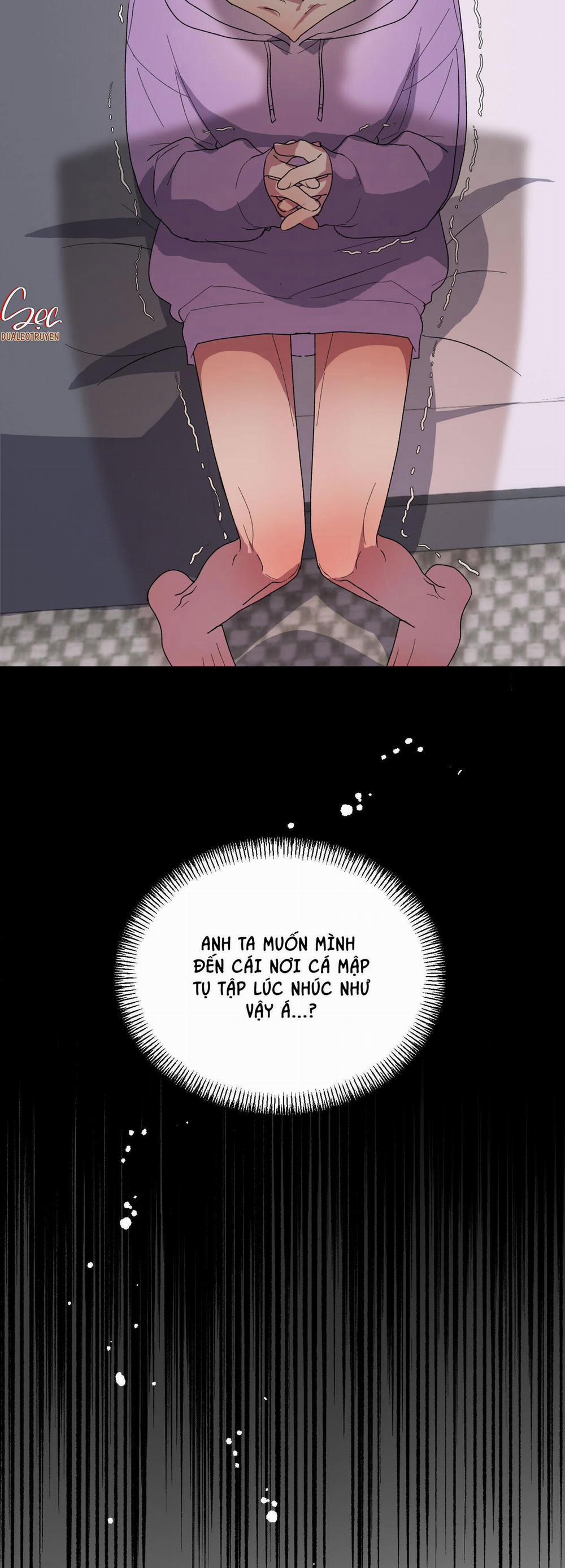 CÁ MẬP VÀ CÔ DÂU THỎ 19 trang 28