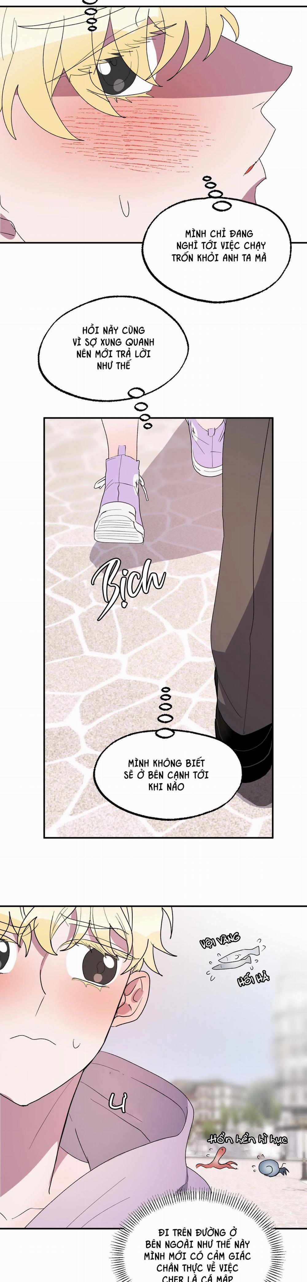 CÁ MẬP VÀ CÔ DÂU THỎ 21 trang 16