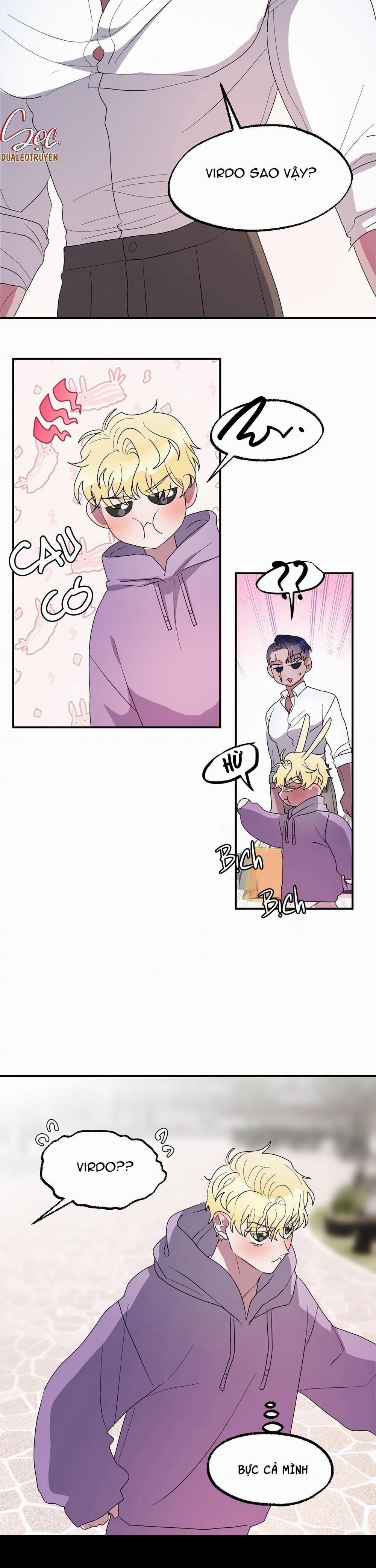 CÁ MẬP VÀ CÔ DÂU THỎ 21 trang 19