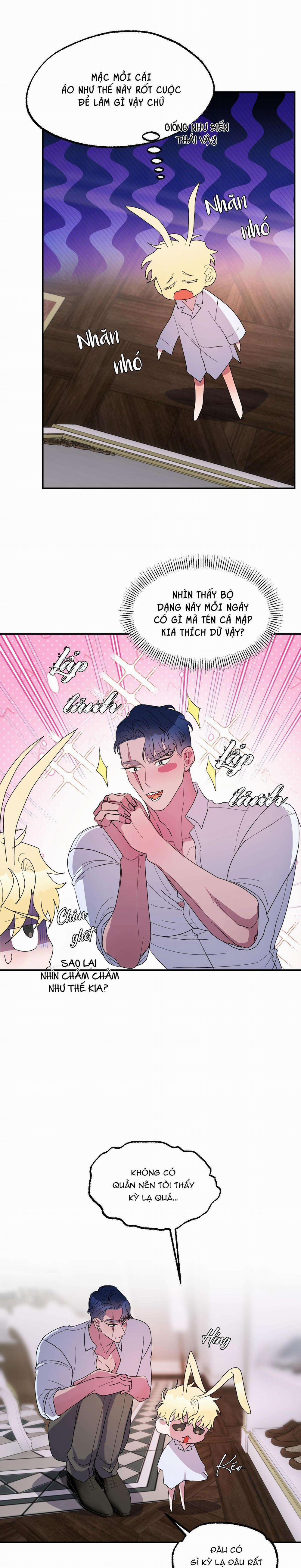 CÁ MẬP VÀ CÔ DÂU THỎ 22 trang 2