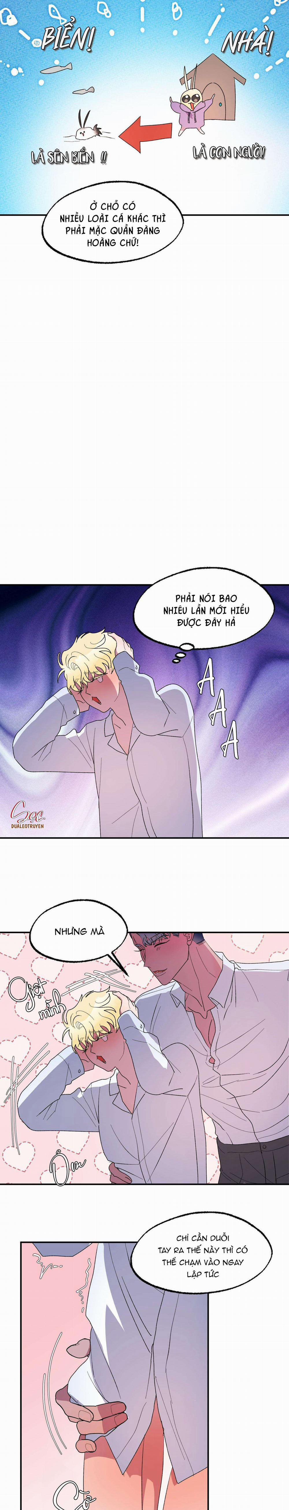 CÁ MẬP VÀ CÔ DÂU THỎ 22 trang 5