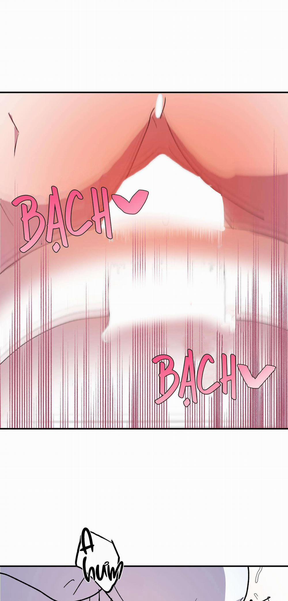 CÁ MẬP VÀ CÔ DÂU THỎ 23 trang 21