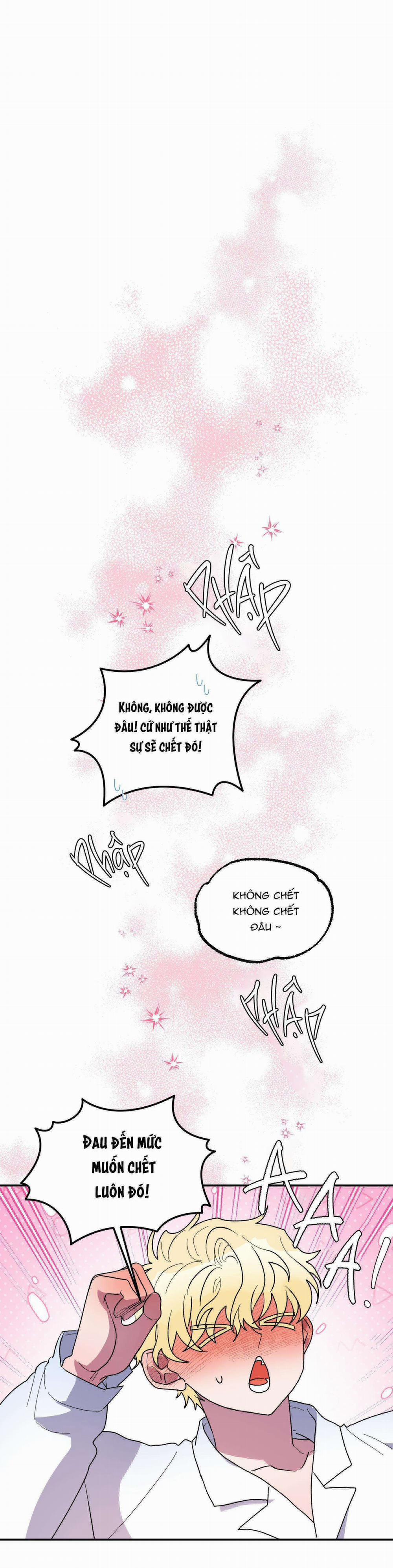 CÁ MẬP VÀ CÔ DÂU THỎ 24 END SS1 trang 1