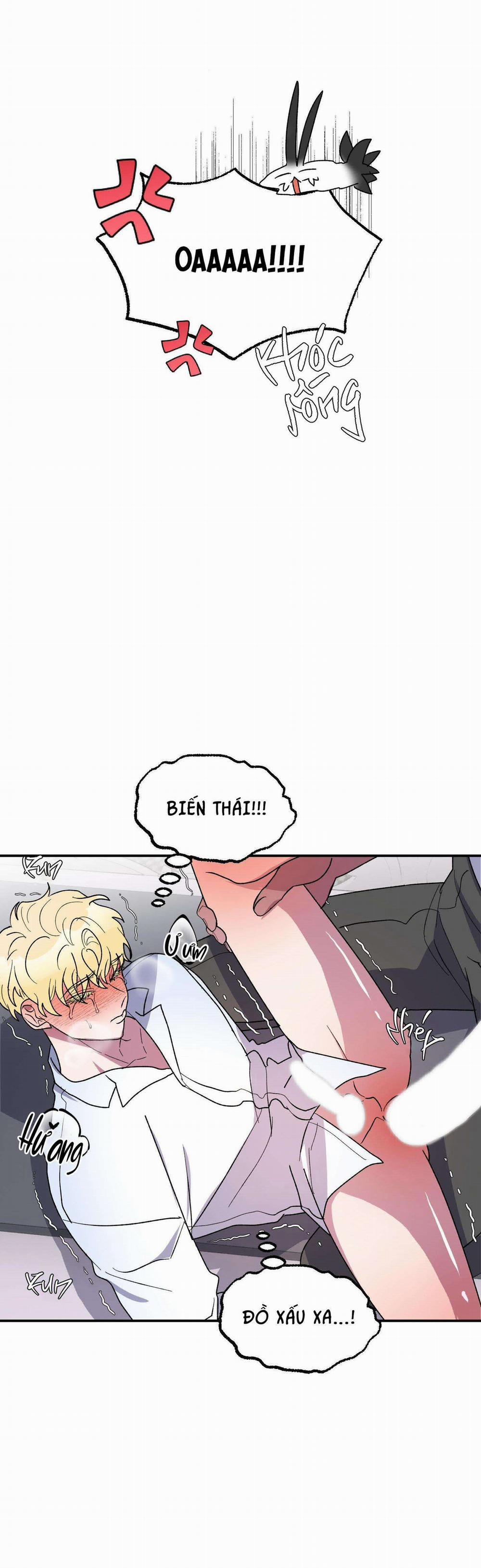 CÁ MẬP VÀ CÔ DÂU THỎ 24 END SS1 trang 49