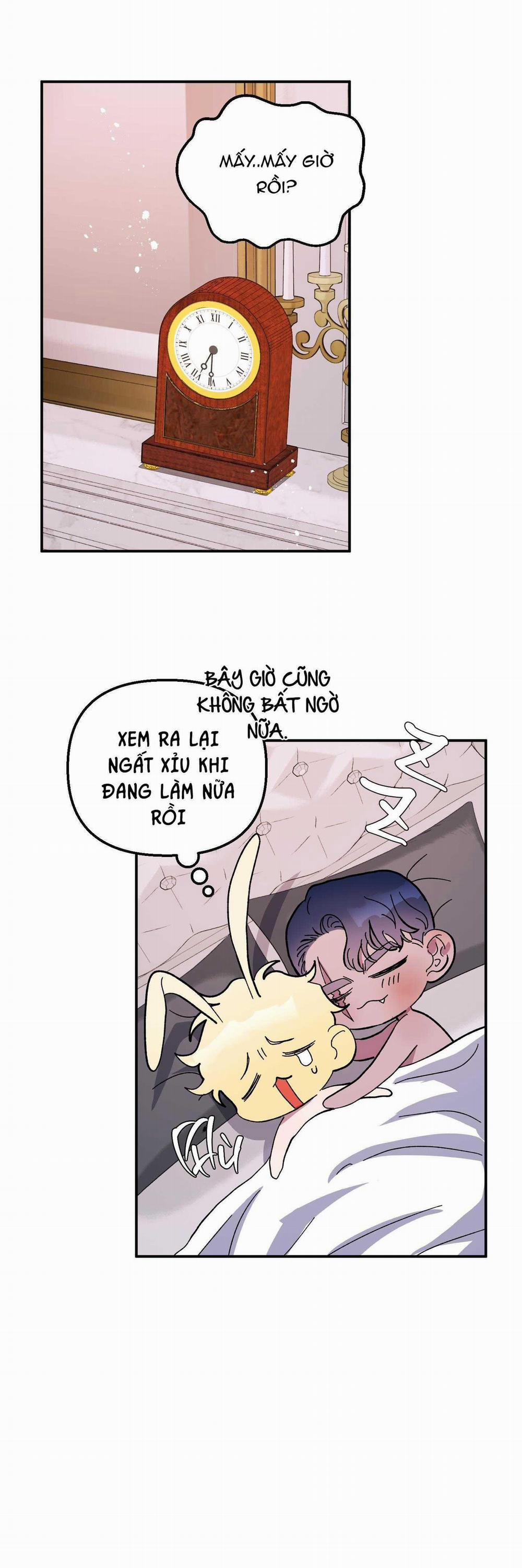 CÁ MẬP VÀ CÔ DÂU THỎ 25 trang 1