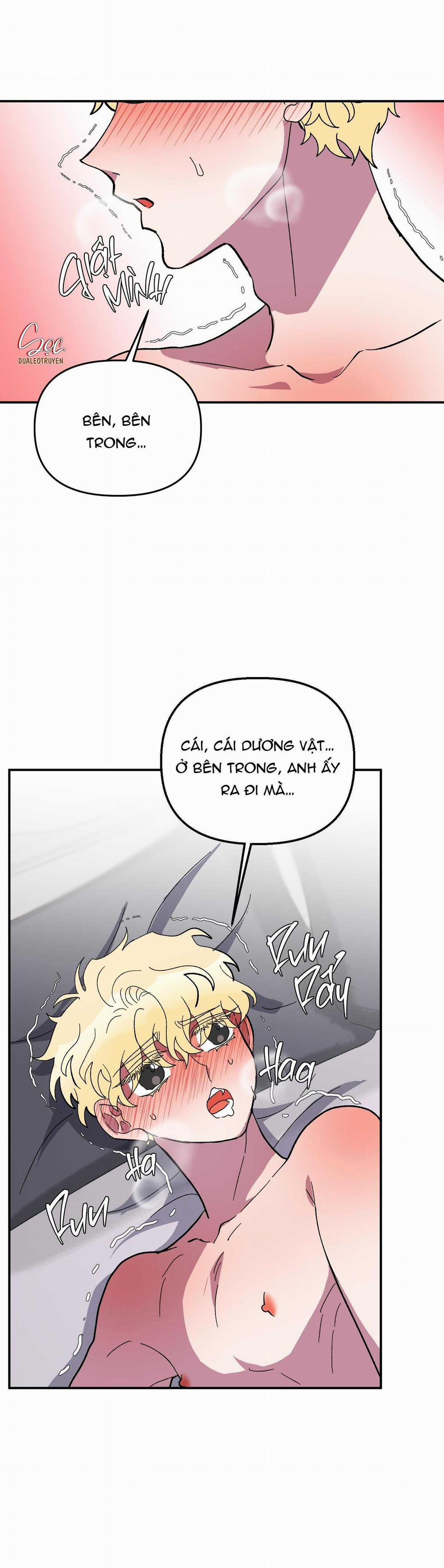 CÁ MẬP VÀ CÔ DÂU THỎ 25 trang 17