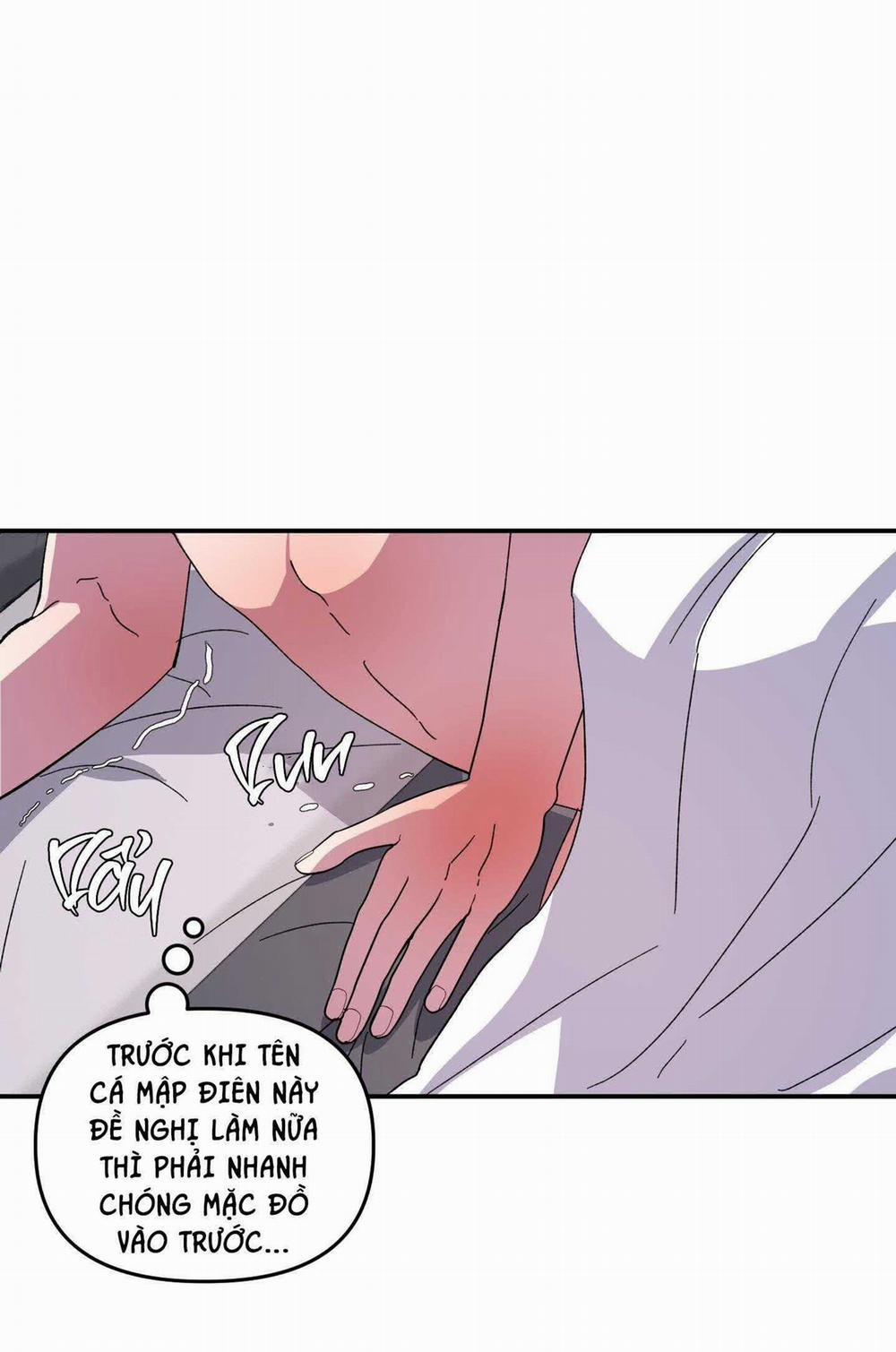 CÁ MẬP VÀ CÔ DÂU THỎ 25 trang 2