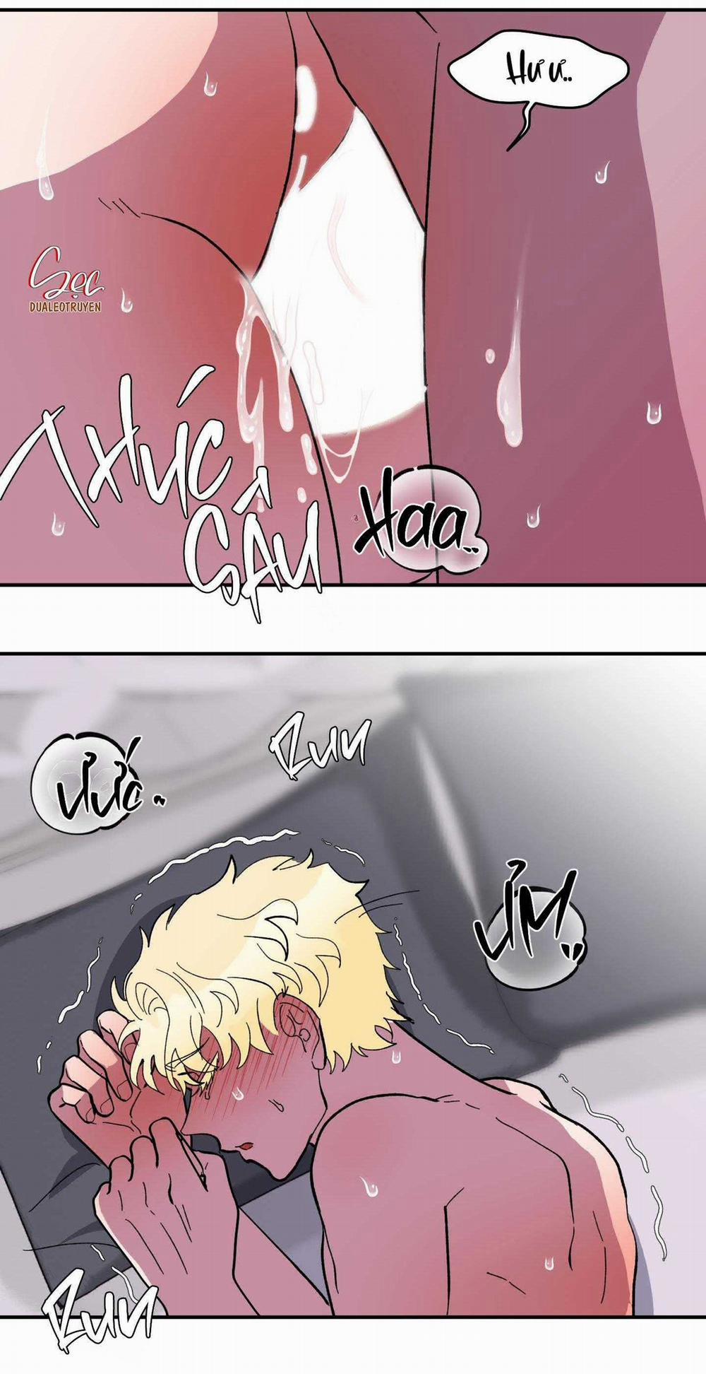 CÁ MẬP VÀ CÔ DÂU THỎ 25 trang 27