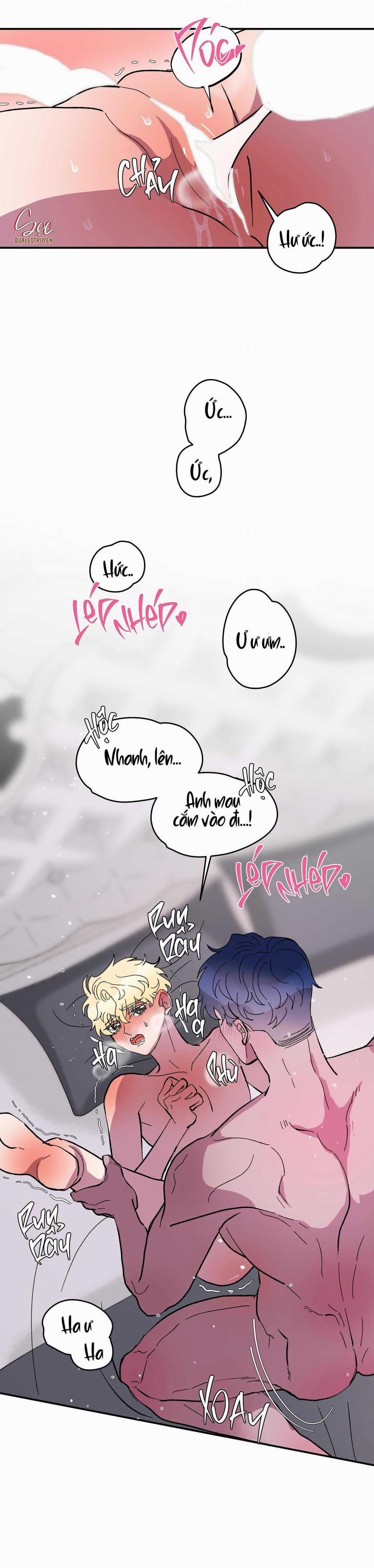 CÁ MẬP VÀ CÔ DÂU THỎ 25 trang 33