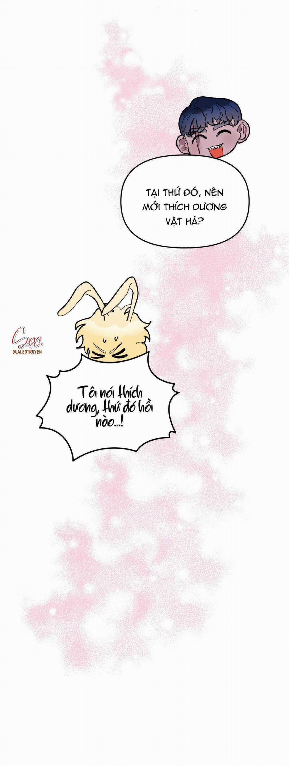 CÁ MẬP VÀ CÔ DÂU THỎ 25 trang 43