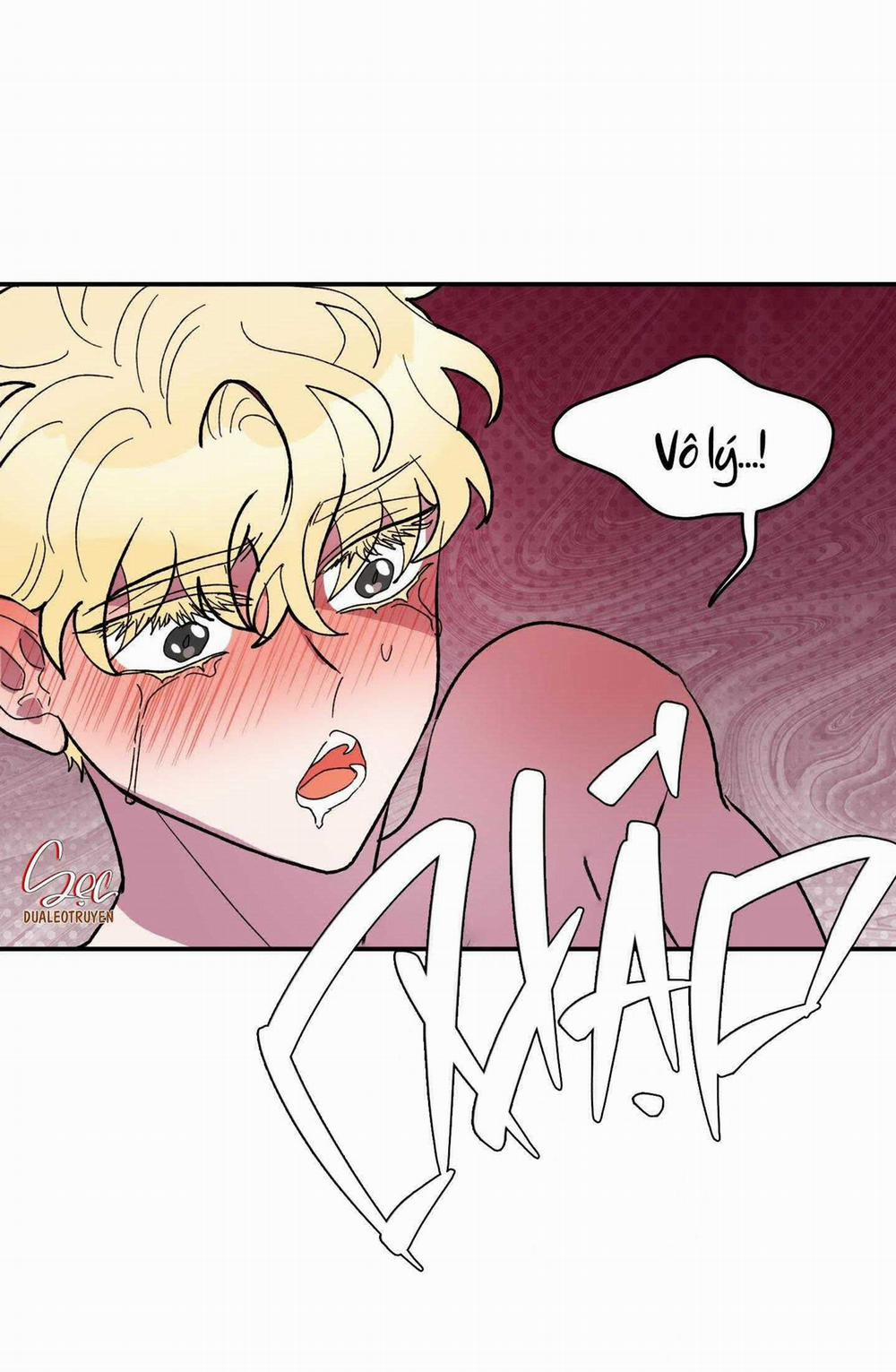 CÁ MẬP VÀ CÔ DÂU THỎ 25 trang 48