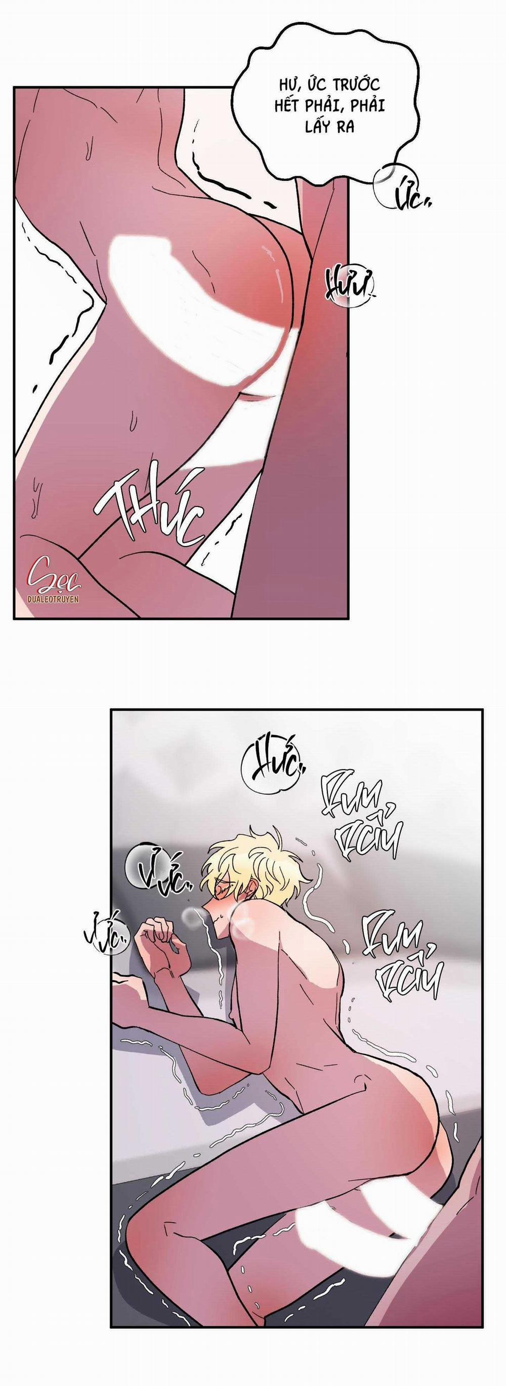 CÁ MẬP VÀ CÔ DÂU THỎ 25 trang 7