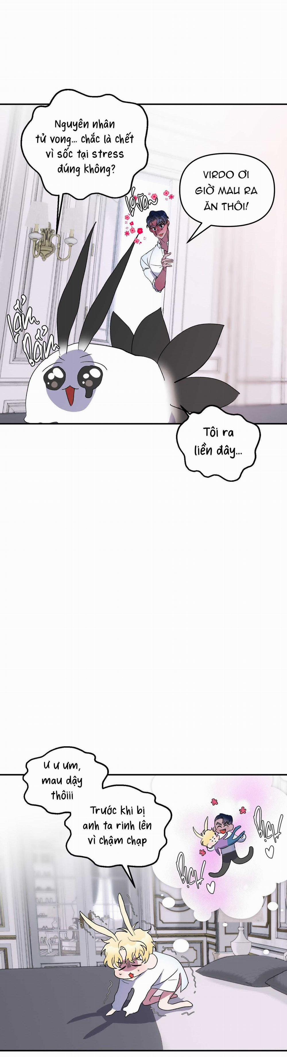 CÁ MẬP VÀ CÔ DÂU THỎ 26 trang 11