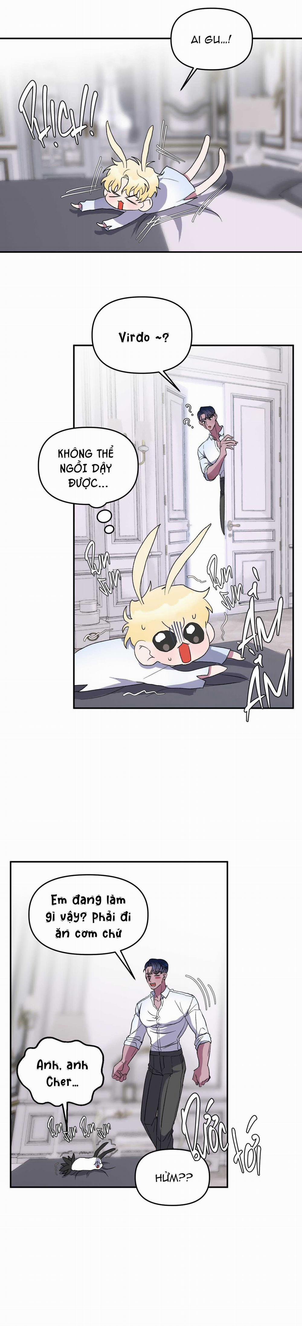 CÁ MẬP VÀ CÔ DÂU THỎ 26 trang 12