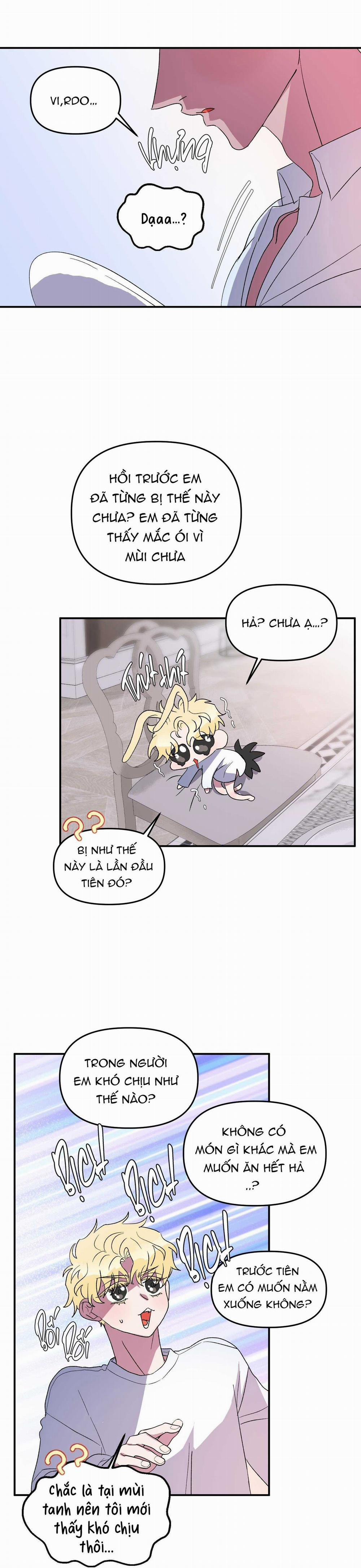 CÁ MẬP VÀ CÔ DÂU THỎ 26 trang 19