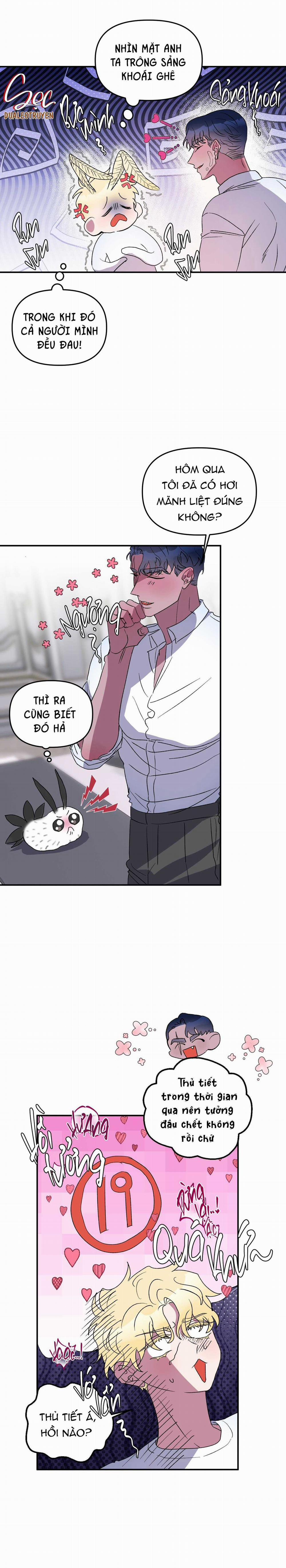 CÁ MẬP VÀ CÔ DÂU THỎ 26 trang 7