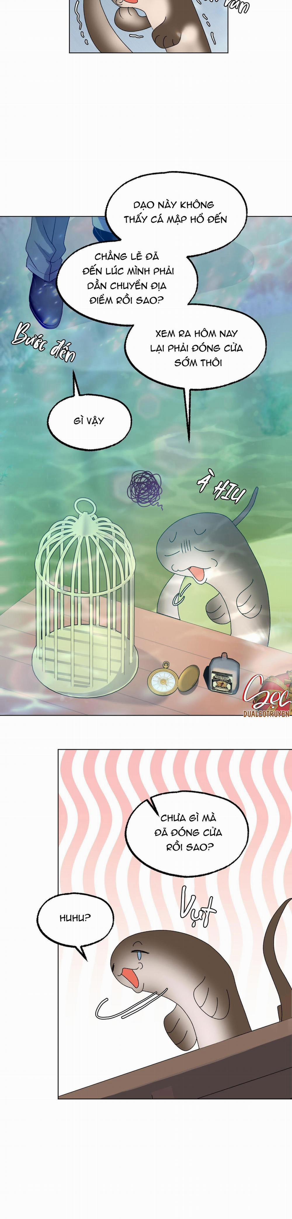 CÁ MẬP VÀ CÔ DÂU THỎ 9 trang 25