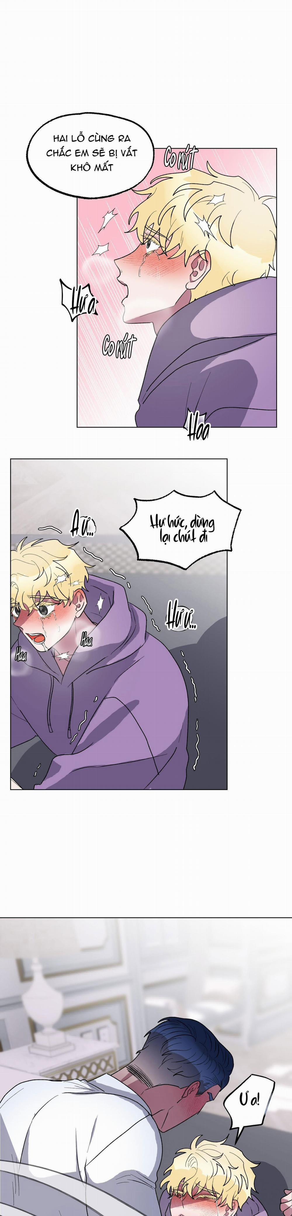 CÁ MẬP VÀ CÔ DÂU THỎ 9 trang 4