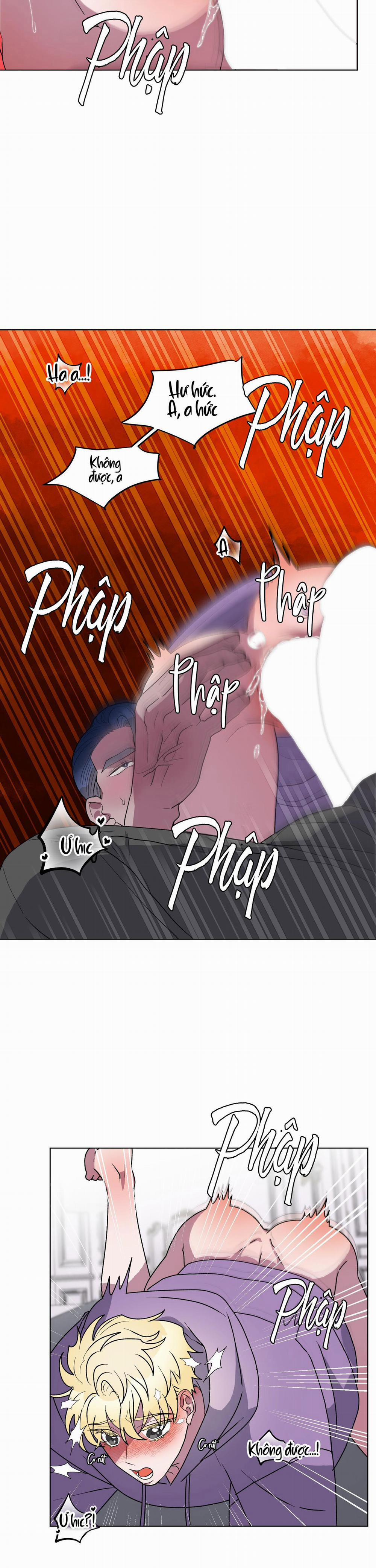 CÁ MẬP VÀ CÔ DÂU THỎ 9 trang 6