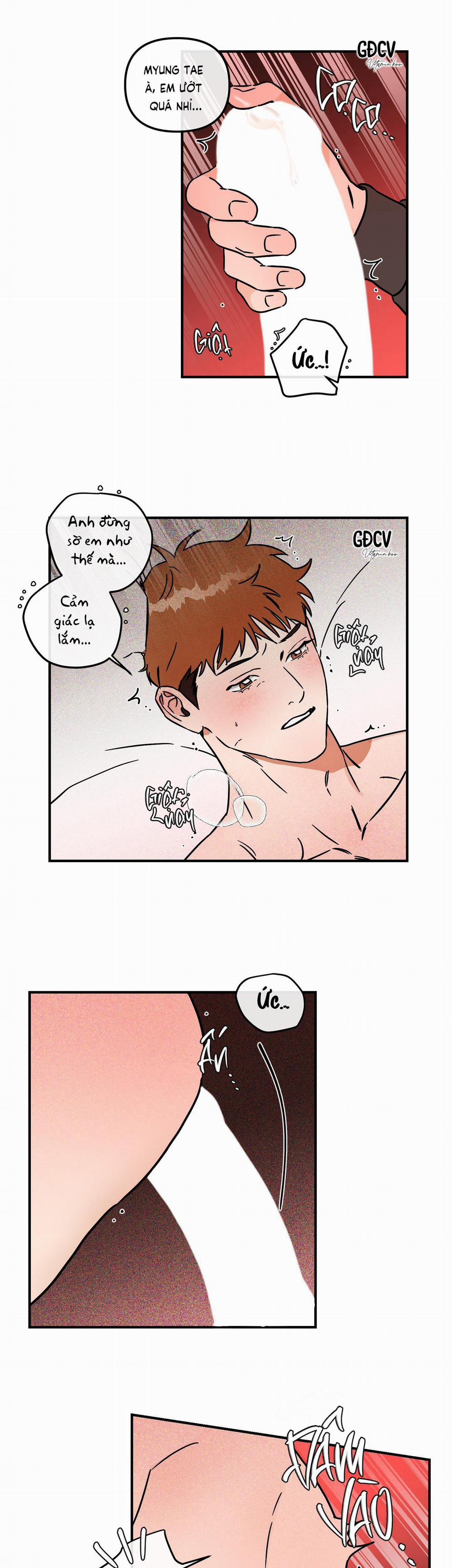 Cá Minh Thái Khô Quắt Rồi! 14 trang 3