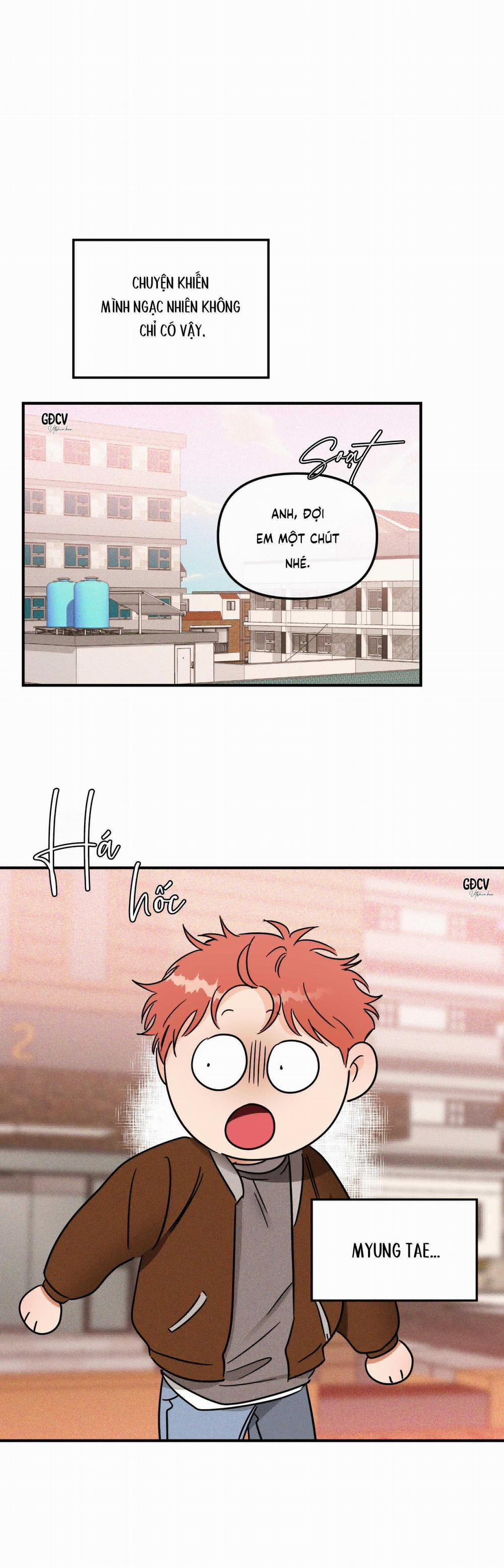 Cá Minh Thái Khô Quắt Rồi! 34 trang 10