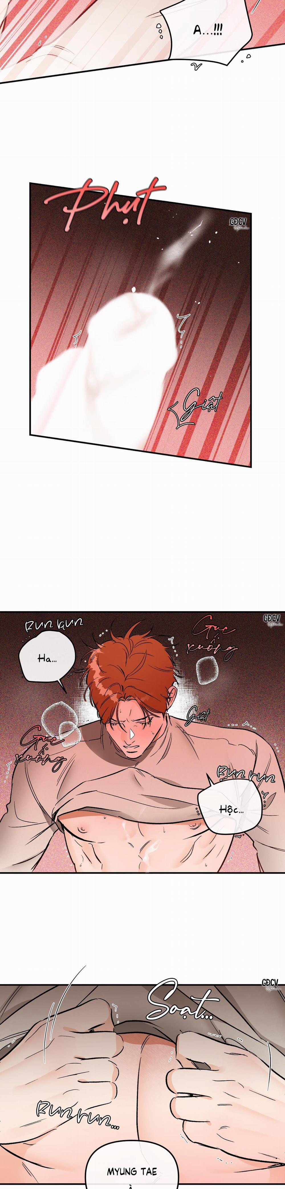 Cá Minh Thái Khô Quắt Rồi! 36 0 trang 21