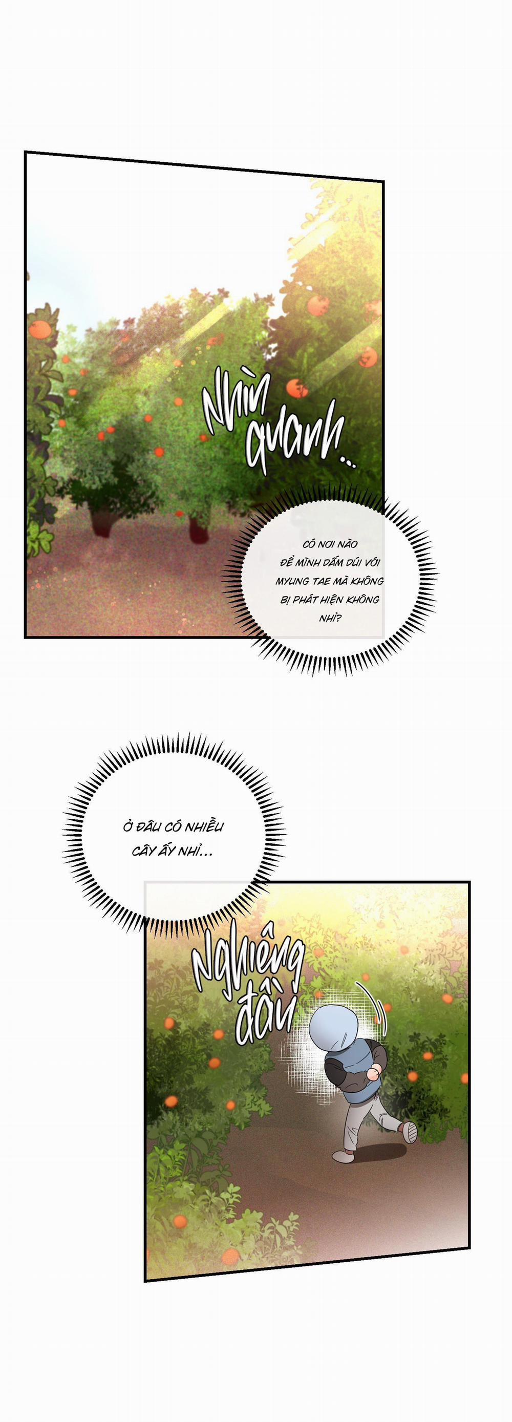 Cá Minh Thái Khô Quắt Rồi! 39 trang 26