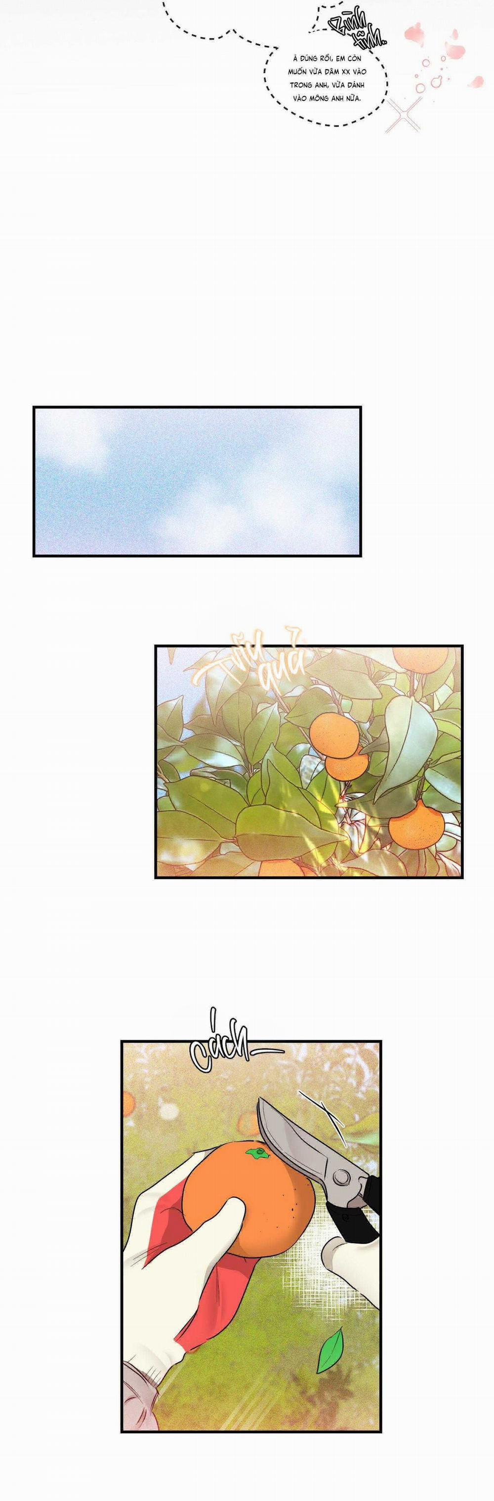 Cá Minh Thái Khô Quắt Rồi! 47 trang 1