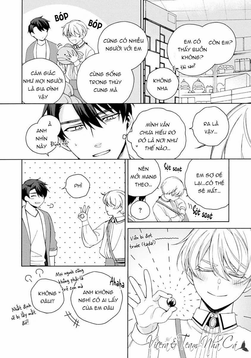 Cá Nhiệt Đới Trong Vườn Cảnh Nhỏ 3 trang 19