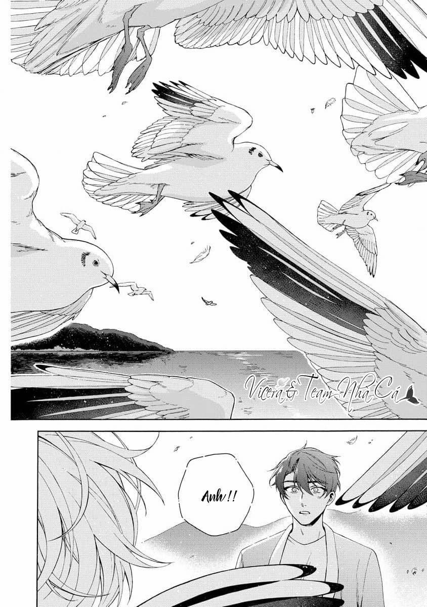 Cá Nhiệt Đới Trong Vườn Cảnh Nhỏ 3 trang 21