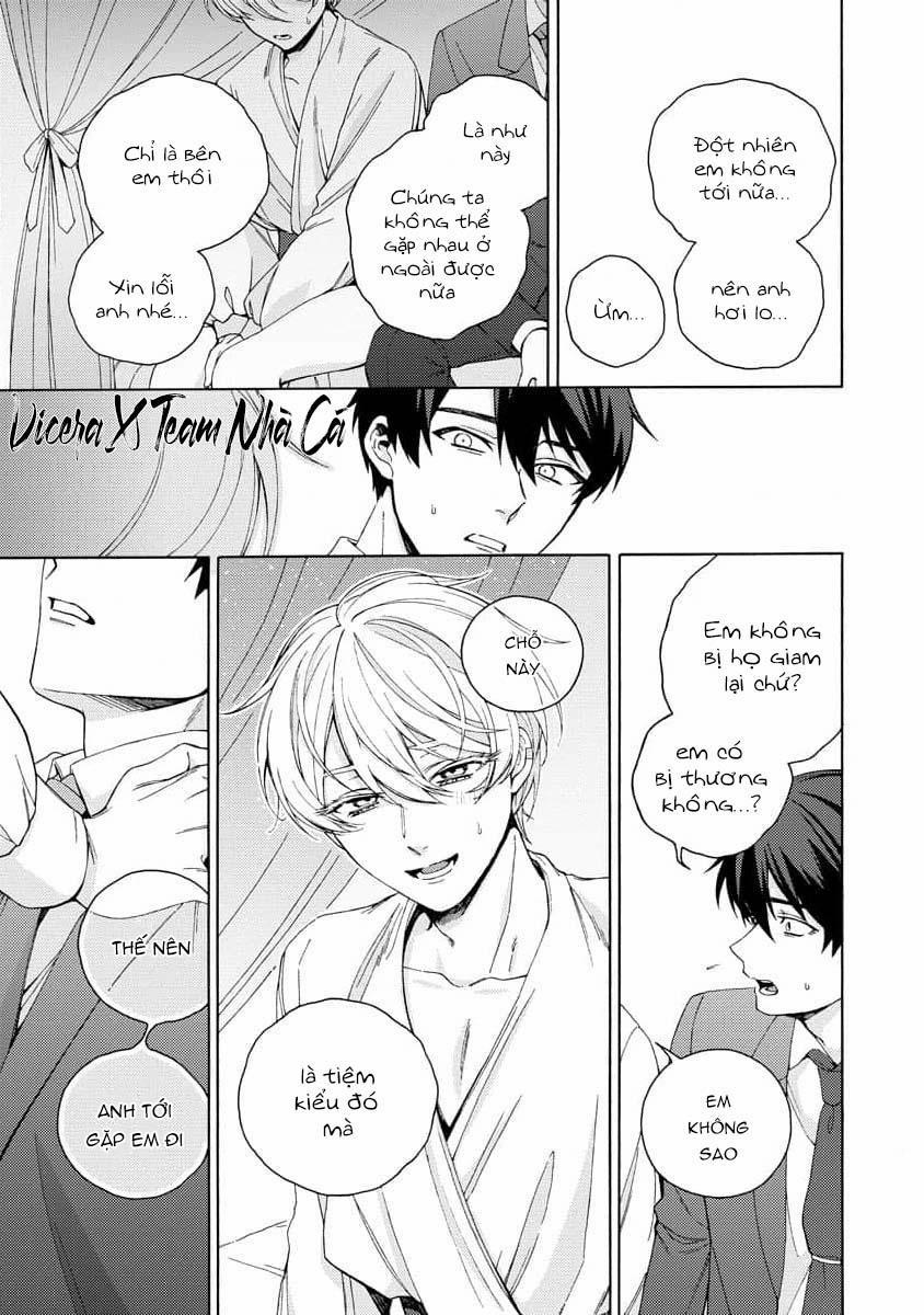 Cá Nhiệt Đới Trong Vườn Cảnh Nhỏ 4 trang 22