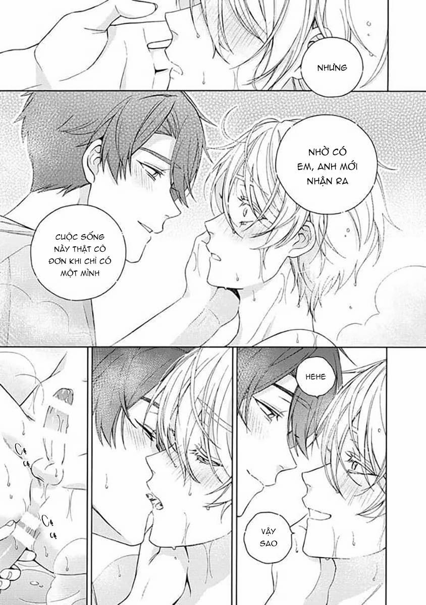 Cá Nhiệt Đới Trong Vườn Cảnh Nhỏ 6 trang 11