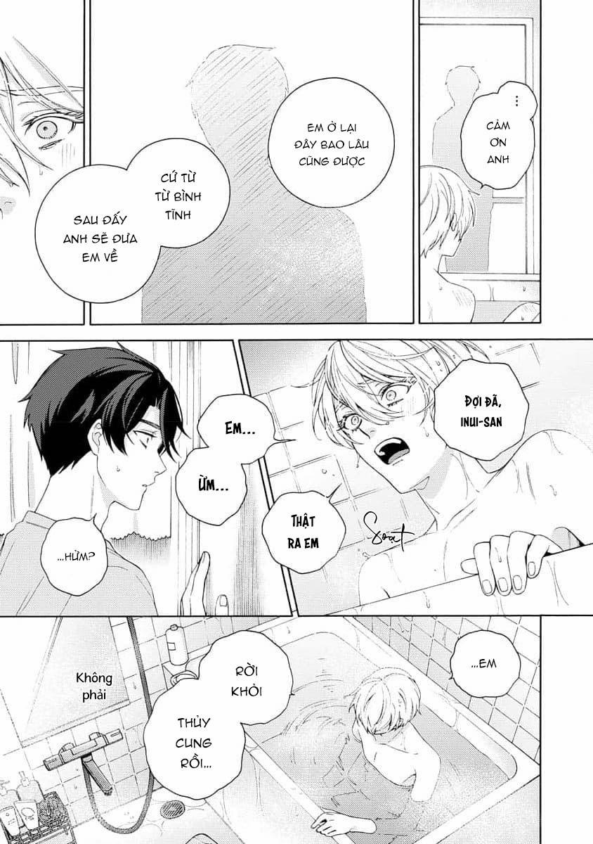 Cá Nhiệt Đới Trong Vườn Cảnh Nhỏ 6 trang 2