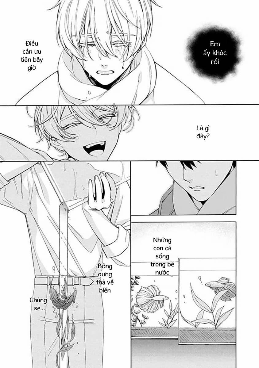 Cá Nhiệt Đới Trong Vườn Cảnh Nhỏ 6 trang 27