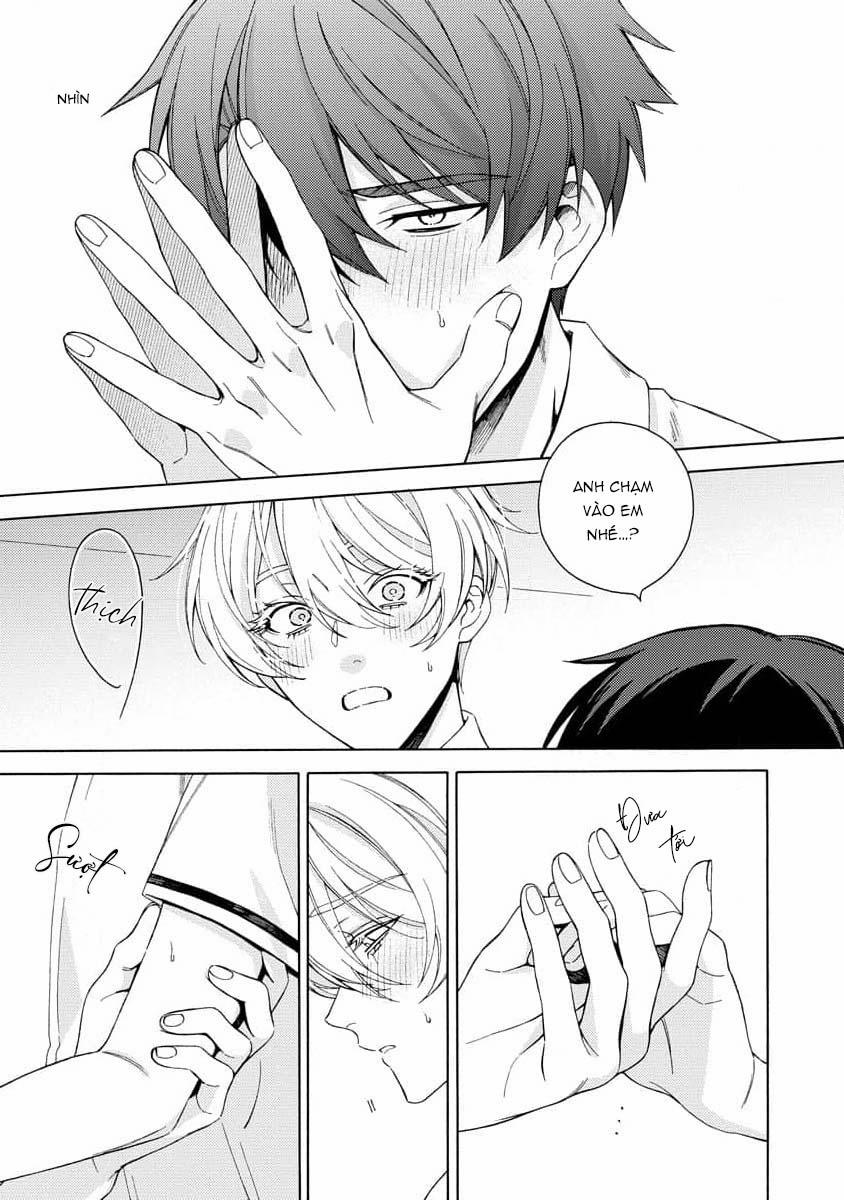 Cá Nhiệt Đới Trong Vườn Cảnh Nhỏ 7 trang 8