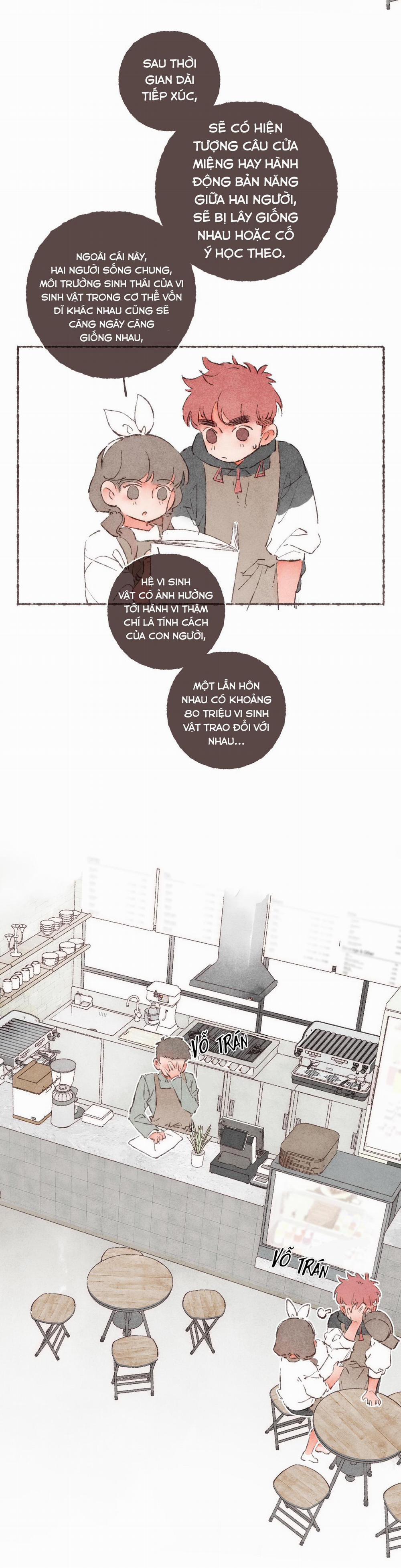 Cà Phê Yirgacheffe 2 trang 15