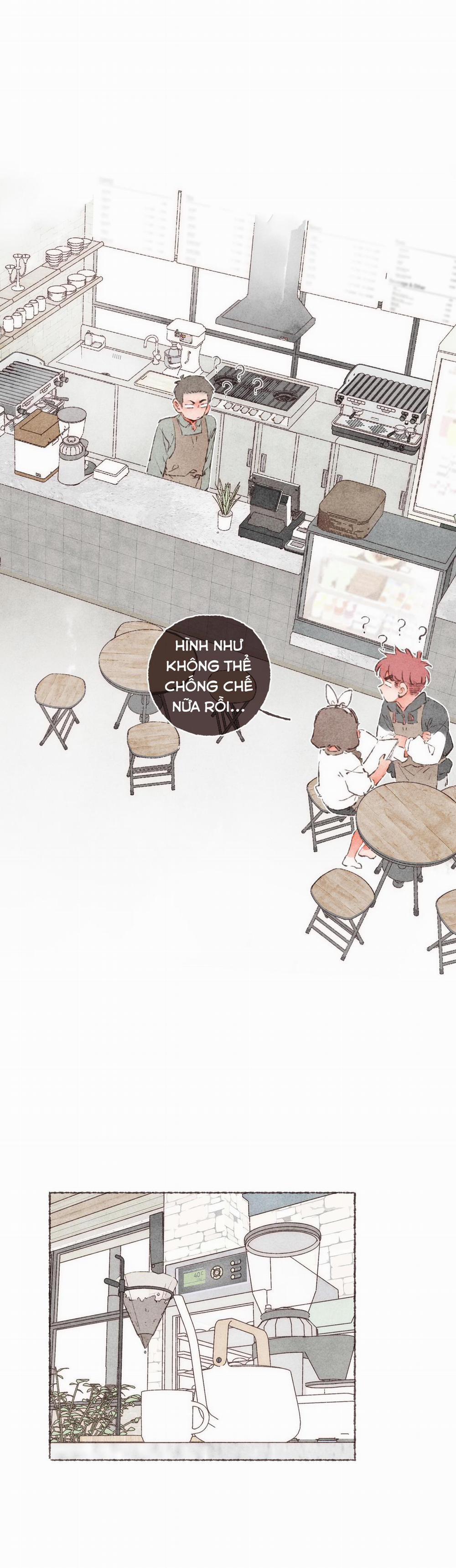 Cà Phê Yirgacheffe 2 trang 21