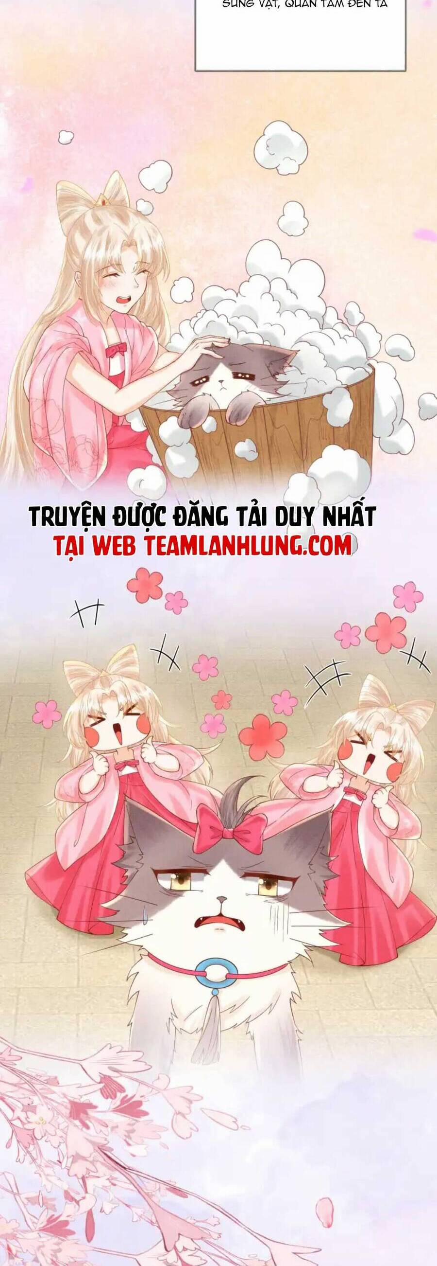 Các Đệ Tử Ai Cũng Nói Yêu Ta 21 trang 12