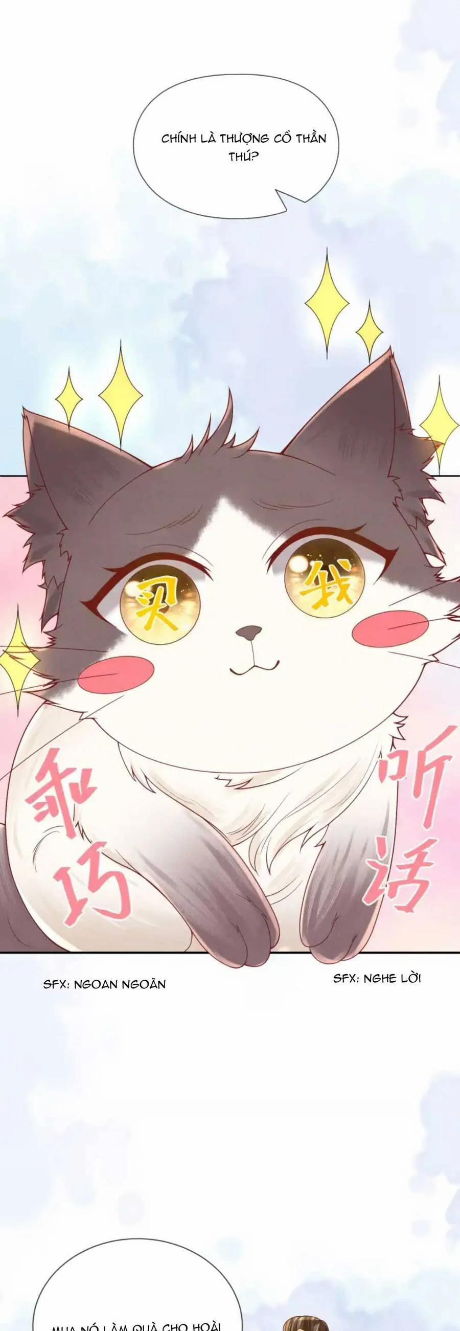 Các Đệ Tử Ai Cũng Nói Yêu Ta 21 trang 8