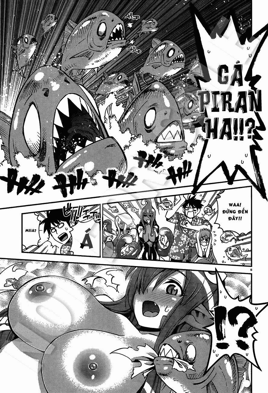 Các Nàng Thú Yêu 37 trang 5