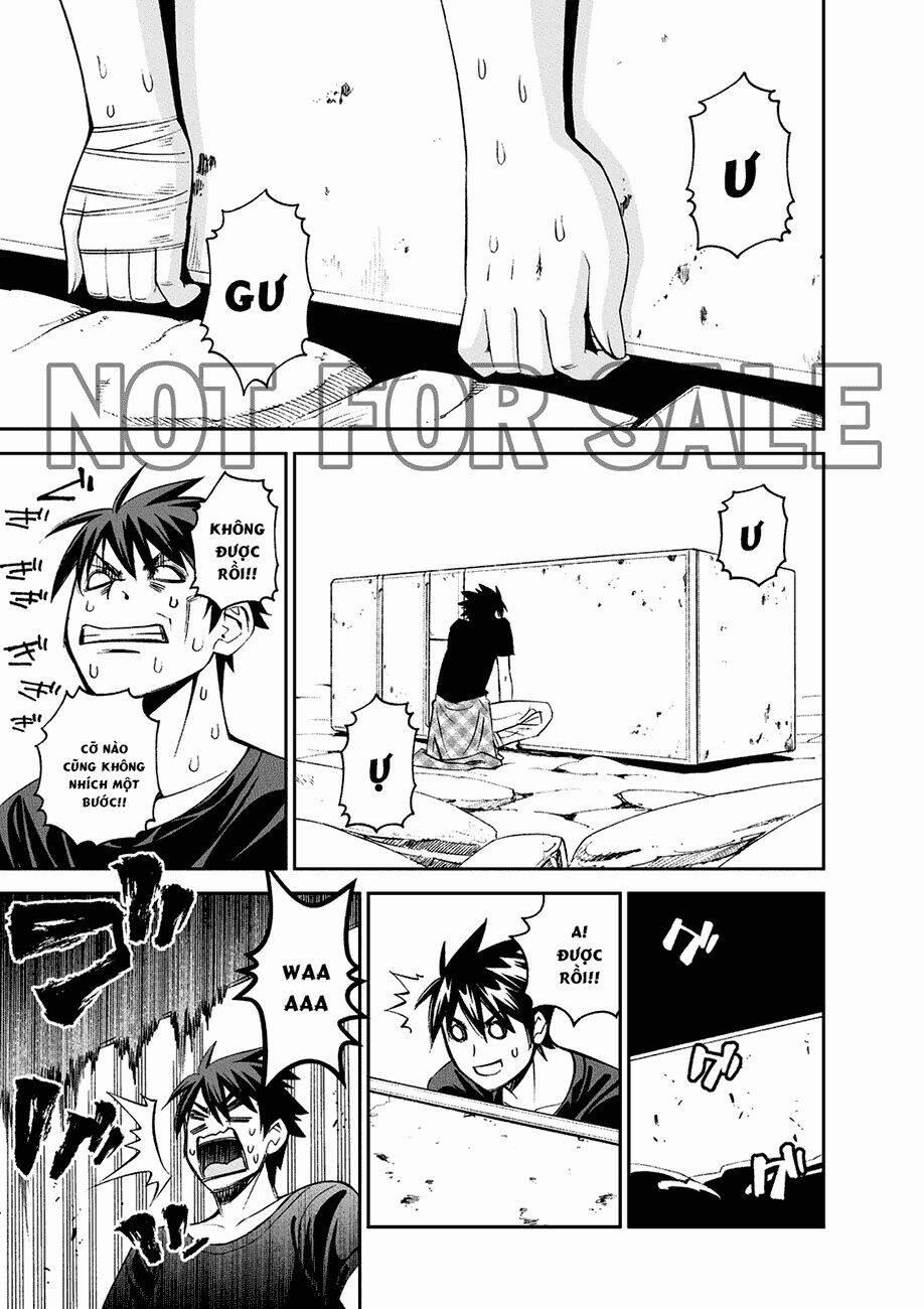 Các Nàng Thú Yêu 41 trang 24