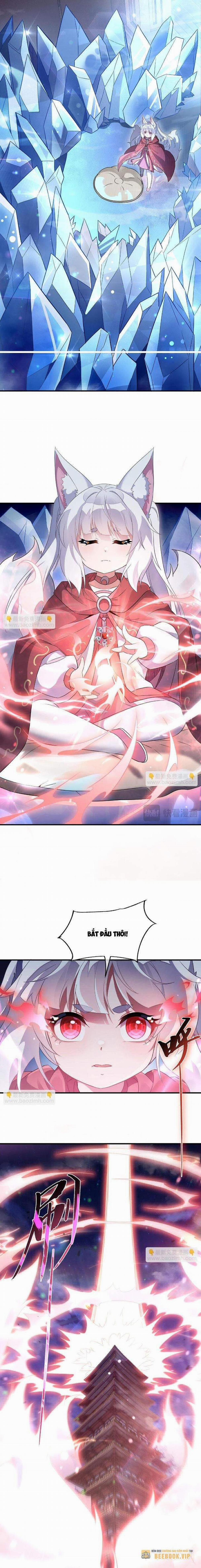 Các Nữ Đồ Đệ Của Ta Đều Là Chư Thiên Đại Lão Tương Lai 239 trang 7