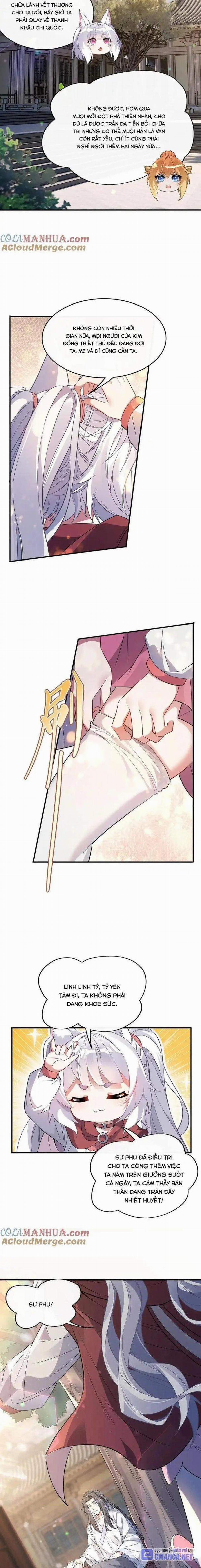 Các Nữ Đồ Đệ Của Ta Đều Là Chư Thiên Đại Lão Tương Lai 241 trang 3