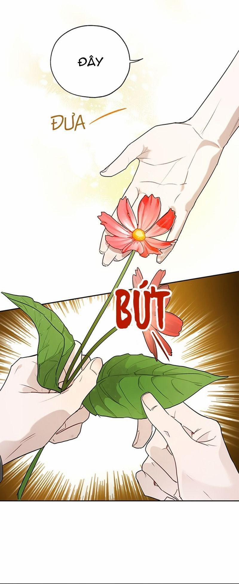 Cách Để Cứu Rỗi Anh Trai Của Nữ Chính 19 trang 47