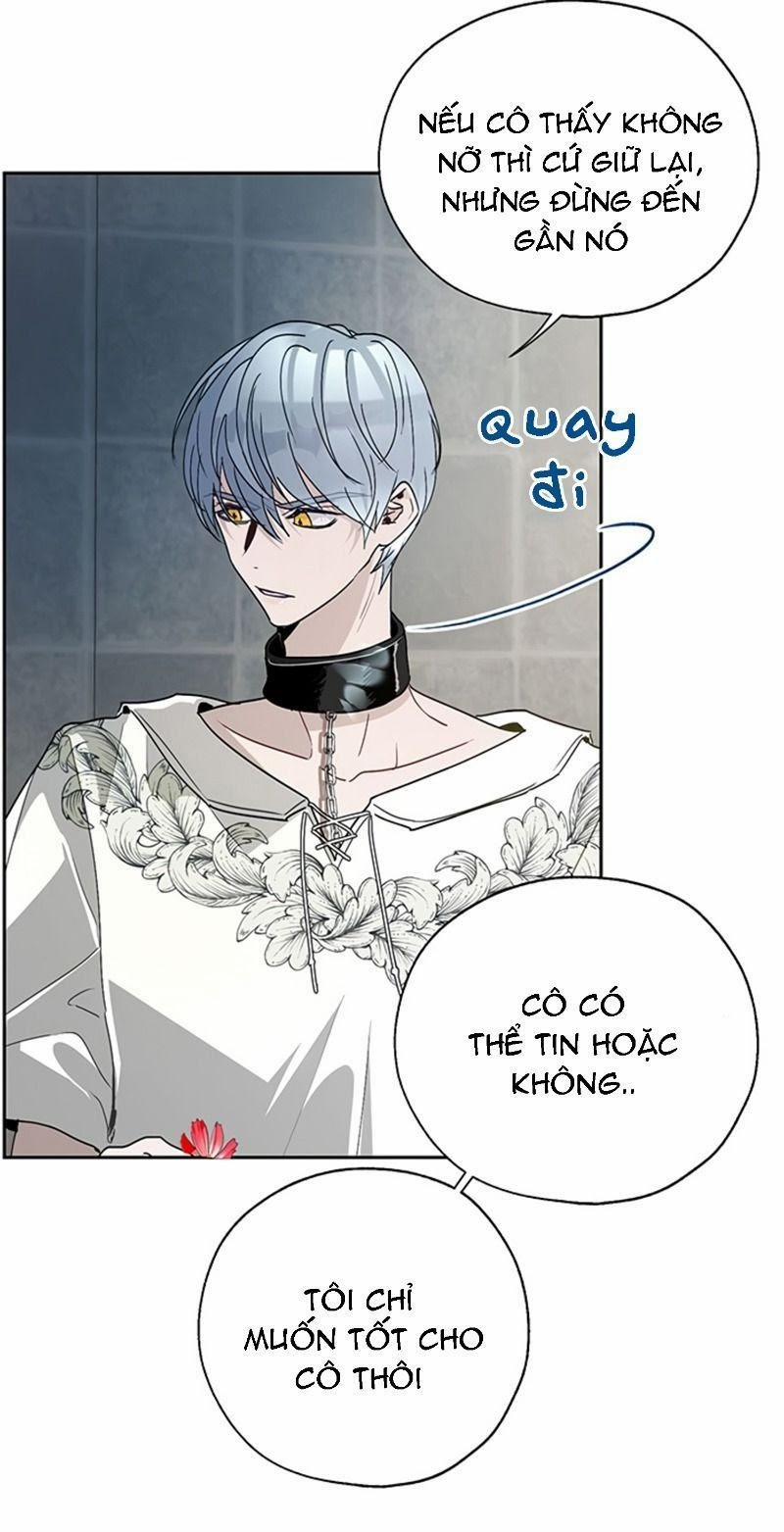 Cách Để Cứu Rỗi Anh Trai Của Nữ Chính 20 trang 14