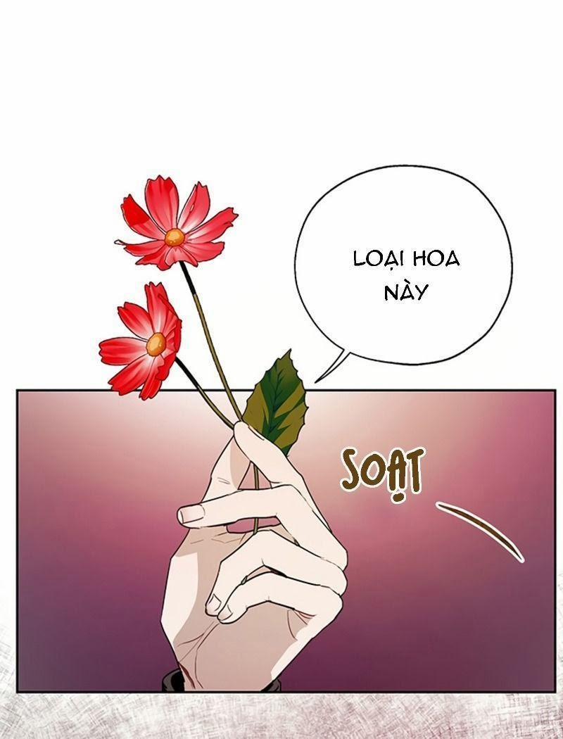 Cách Để Cứu Rỗi Anh Trai Của Nữ Chính 20 trang 2