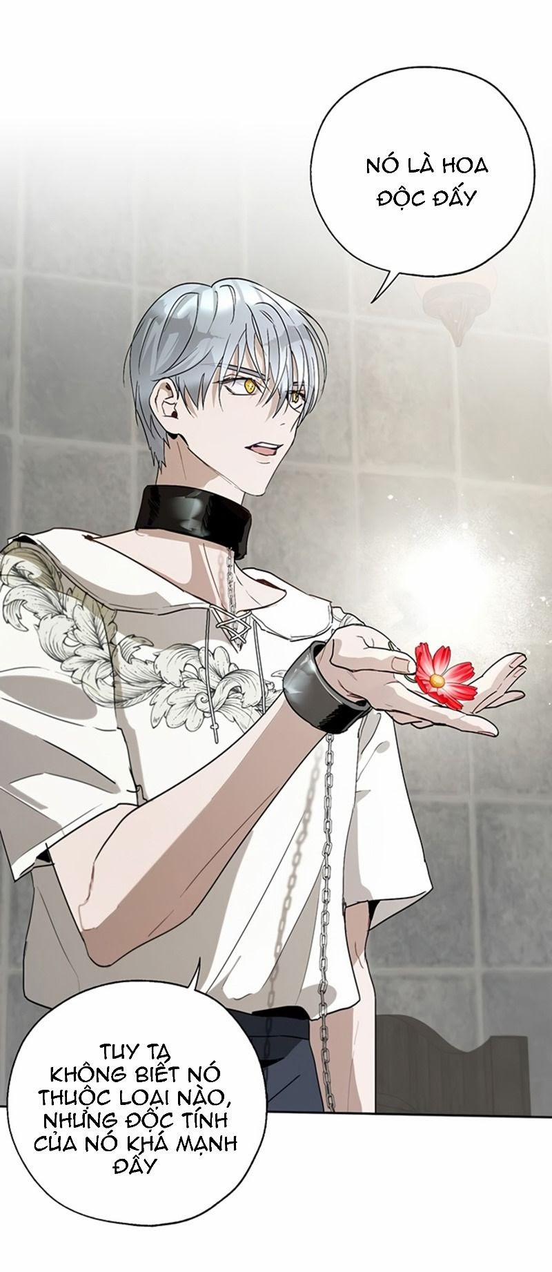 Cách Để Cứu Rỗi Anh Trai Của Nữ Chính 20 trang 5